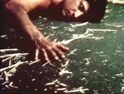 collection 15.jpg, nov. 2017 collection 15.jpg