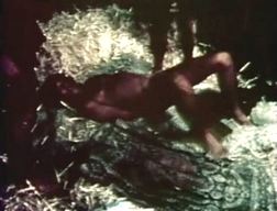 collection 23.jpg, nov. 2017 collection 23.jpg