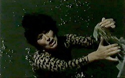 las 14.jpg, sept. 2019