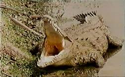 las 5.jpg, sept. 2019