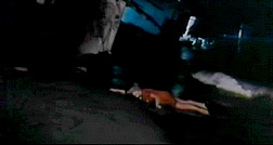 citron 14.jpg, sept. 2019