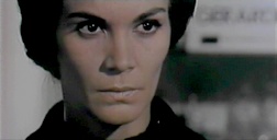 citron 17.jpg, sept. 2019