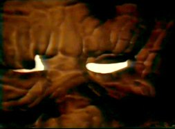 tunnel 11.jpg, août 2019