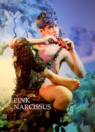 pink_narcissus.jpg, Dec 2009