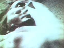 video sexe parfait sexe foetus video sexe parfait sexe foetus