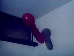 io_7.jpg, fév. 2017 io_7.jpg