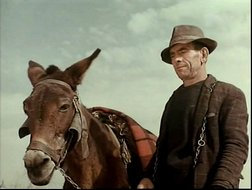 joyau 4.jpg, mar. 2020