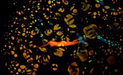 zeta 6.jpg, déc. 2019