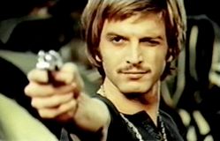 volpe_11.jpg
