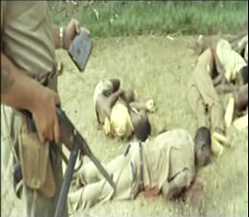 africa_addio_10.jpg