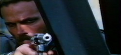 cobra_6.jpg