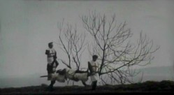 li_13.jpg, sept. 2015 li_13.jpg