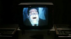 zeder_5.jpg, Apr 2011 zeder_5.jpg