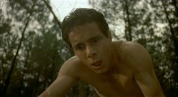 zeder_8.jpg, Apr 2011 zeder_8.jpg